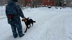 Объекты «Водоканала» будут охранять проверенные кинологи с собаками