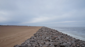 Обустройство намыва Васильевского острова проводят с заботой об экологии