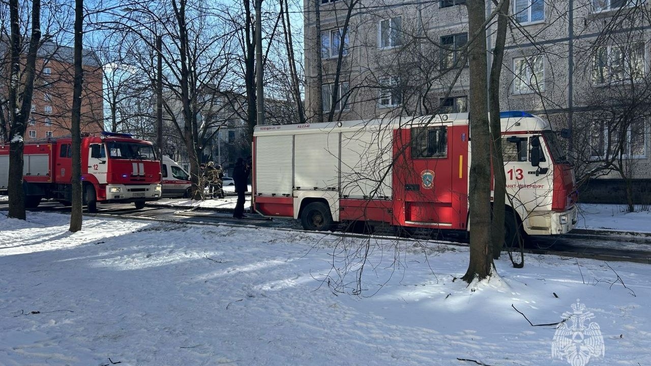 Больше всех повезло питомцу: из унесшего жизнь женщины пожара на Замшина спасли кота