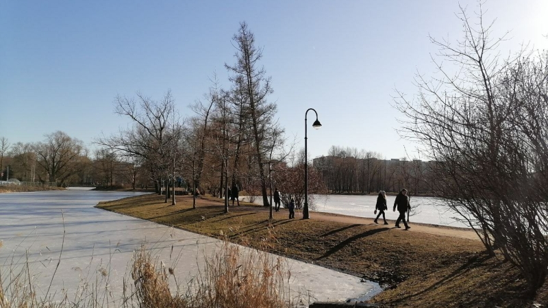 Встреча с зоопсихологом и выставка винтажных вещей: куда сходить бесплатно в Петербурге 14 и 15 марта