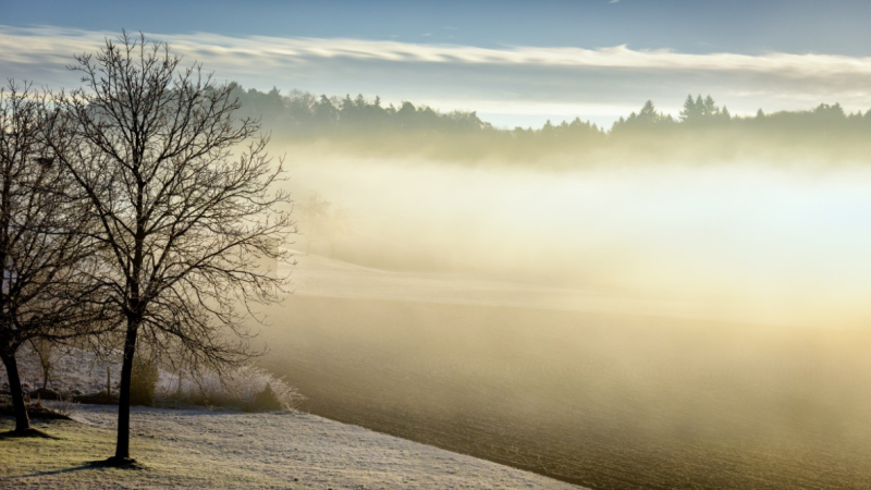 Народные приметы на октябрь: как предсказать зиму по знакам природы – в Петербурге и Ленобласти
