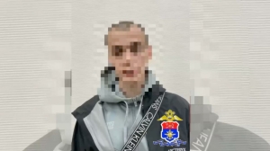 Граффитист получил уголовку за «шедевры» на пяти поездах Петербурга и Ленобласти