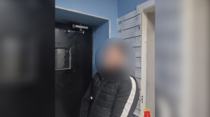 Петербуржец устроил наркоплантации в трех квартирах в Мурино и Парголово