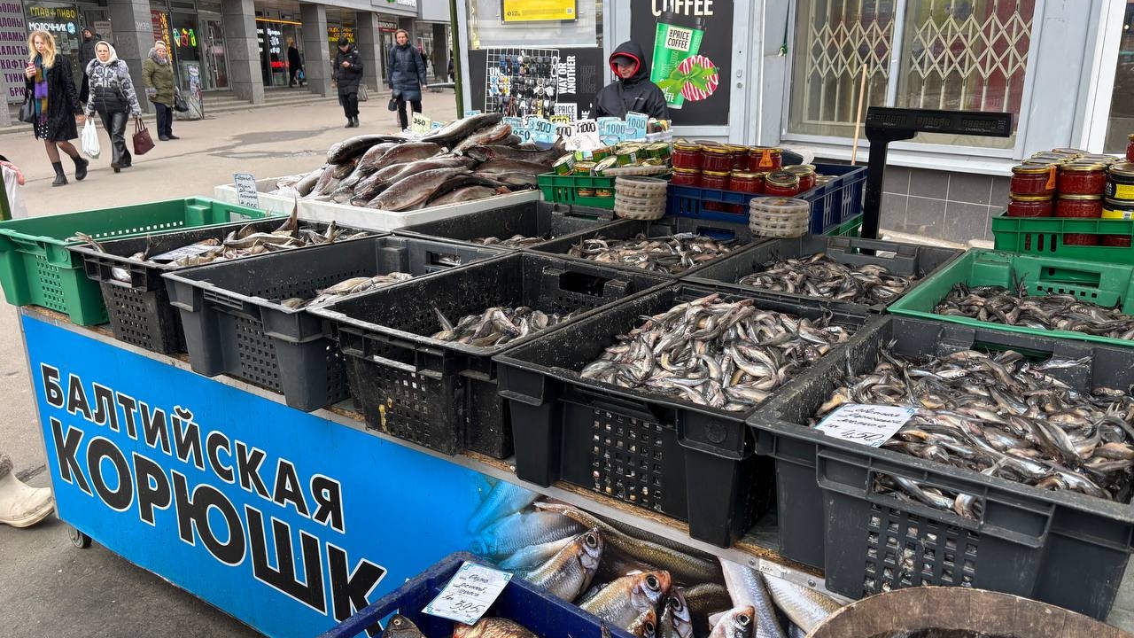 В Петербурге с 15 апреля стартует сезон корюшки. Подробный список с торговыми точками