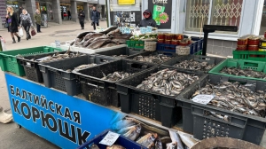 В Петербурге с 15 апреля стартует сезон корюшки. Подробный список с торговыми точками