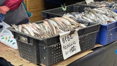 Когда начнется сезон корюшки в Петербурге? Где ее купить и как выбрать свежую — разоблачаем спекулянтов и торгашей