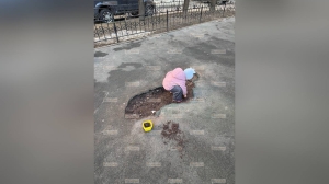 Петербургских детей загнали в ямы: родители массово жалуются на опасные площадки во дворах