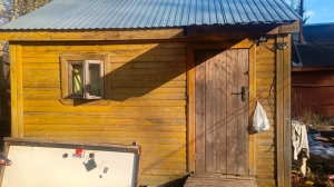 Заперла в бане и не кормила: Бастрыкин получит доклад об истязании мальчиков в Ленобласти