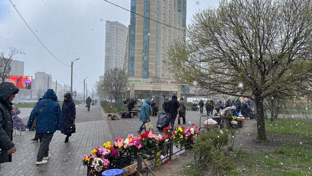 Куда поехать на майские 2026 из СПб: где будет теплее — в городе или в Ленобласти