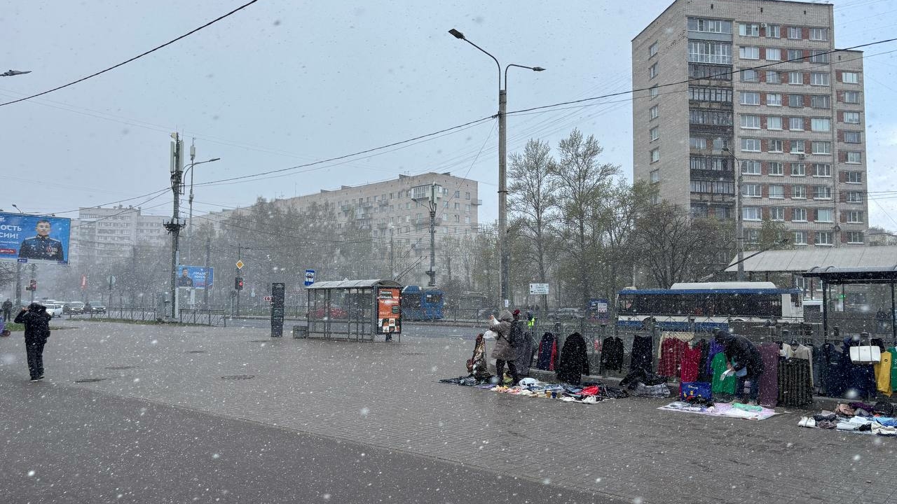 В Петербурге пойдет мокрый снег перед второй частью майских «каникул»: МЧС предупреждает об ухудшениях