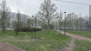После холодных выходных в Петербург вернется тепло