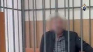 В пьяном угаре ударил ножом: подозреваемого в покушении на жену жителя Ленобласти отправили под стражу