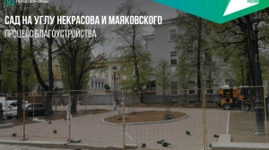 В активной стадии благоустройства находятся 20 общественных пространств Петербурга