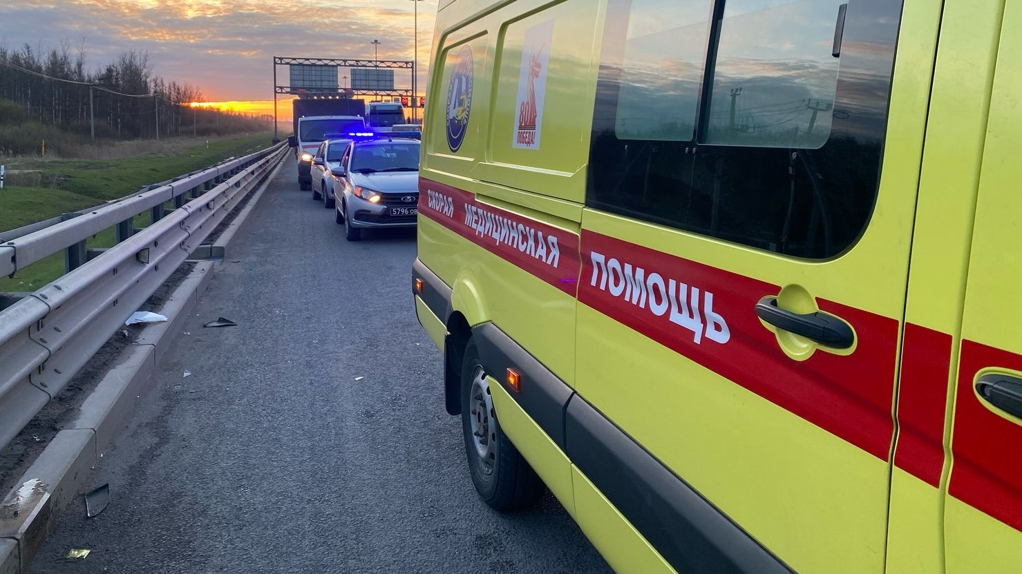 В Петербурге пешеход с собакой погибли на месте из-за ДТП с каршерингом
