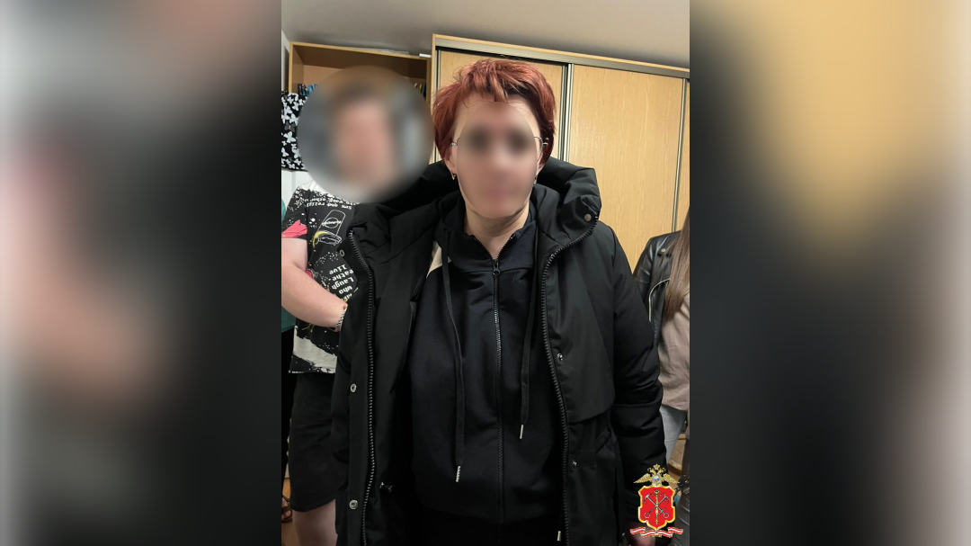 Домработницу задержали по подозрению в краже 25 млн рублей с балкона на Смоленской