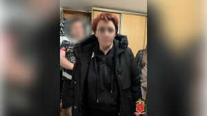 Домработницу задержали по подозрению в краже 25 млн рублей с балкона на Смоленской