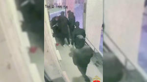 Кулаки и сигнальный пистолет: причиной нападения на парня у компьютерного клуба на Торжковской стал долг
