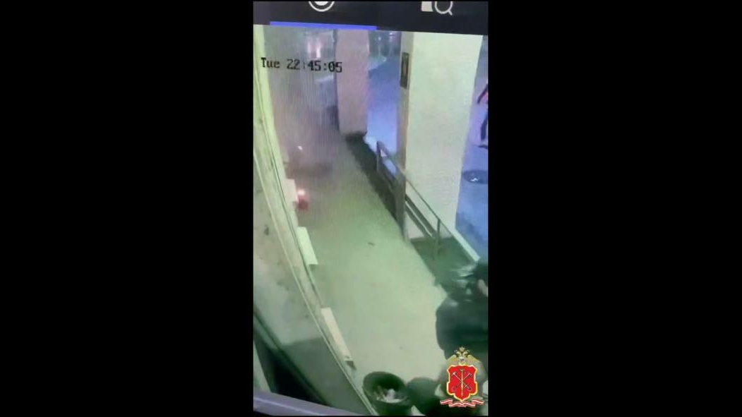 В Петербурге задержали хулиганов, избивших 19-летнего экс-хоккеиста СКА из-за денег: кто стрелял в парня?
