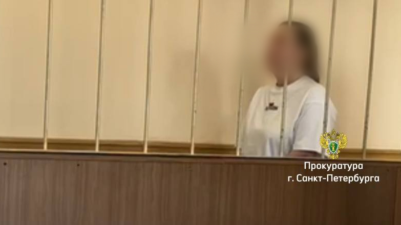 В Петербурге гендиректор компании сядет на пять лет за оформление фейковых турпутевок