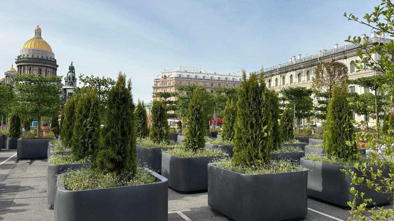 Стало известно, кто в этом году «высадит» сад-трансформер на Исаакиевской площади