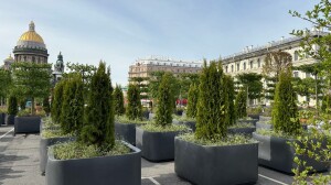 Стало известно, кто в этом году «высадит» сад-трансформер на Исаакиевской площади