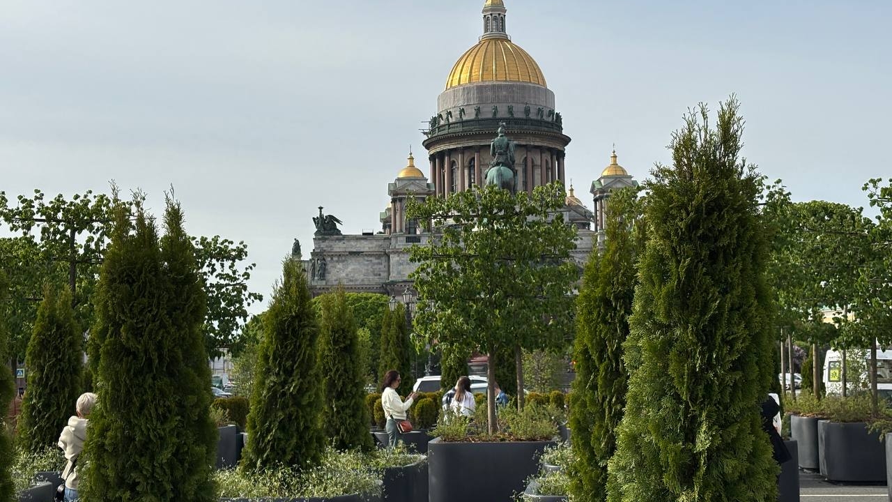 Переезд начался: первые деревья из сада с Синего моста перебрались в Пушкин