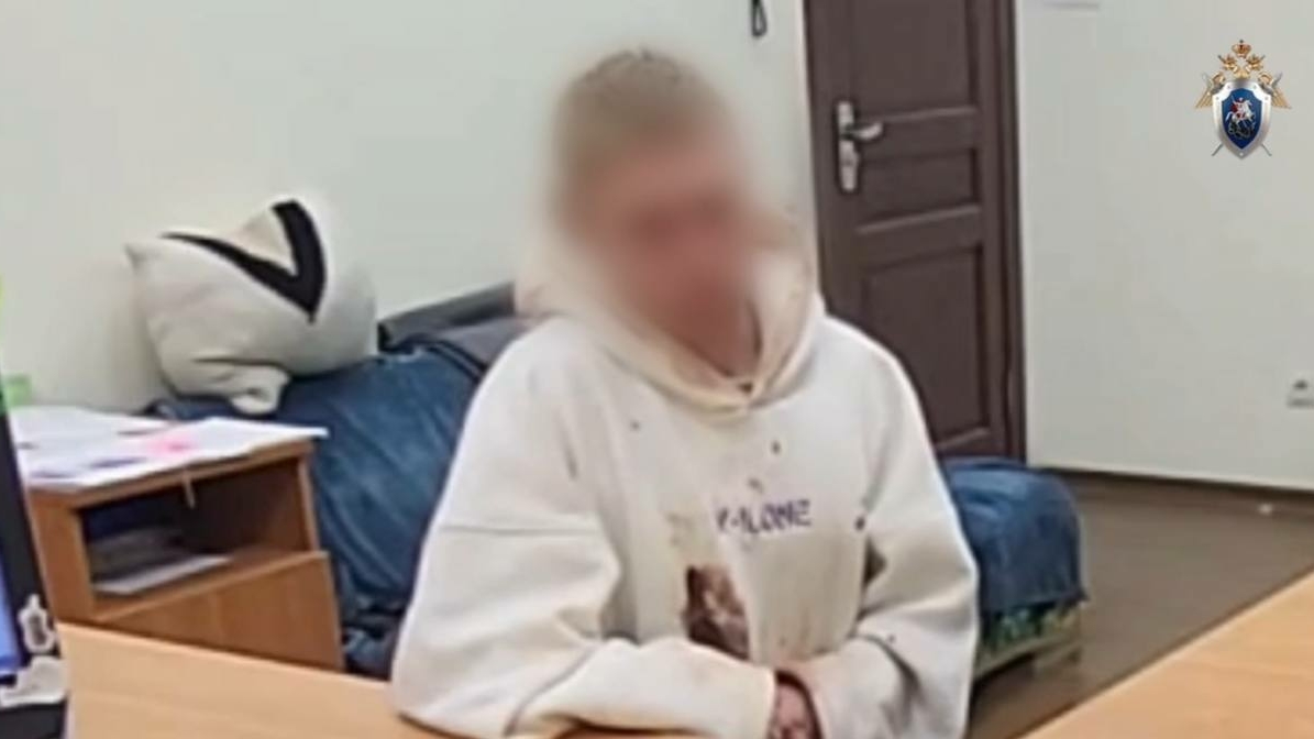 Пьяного петербуржца заключили под стражу за нападение с ножом на полицейского