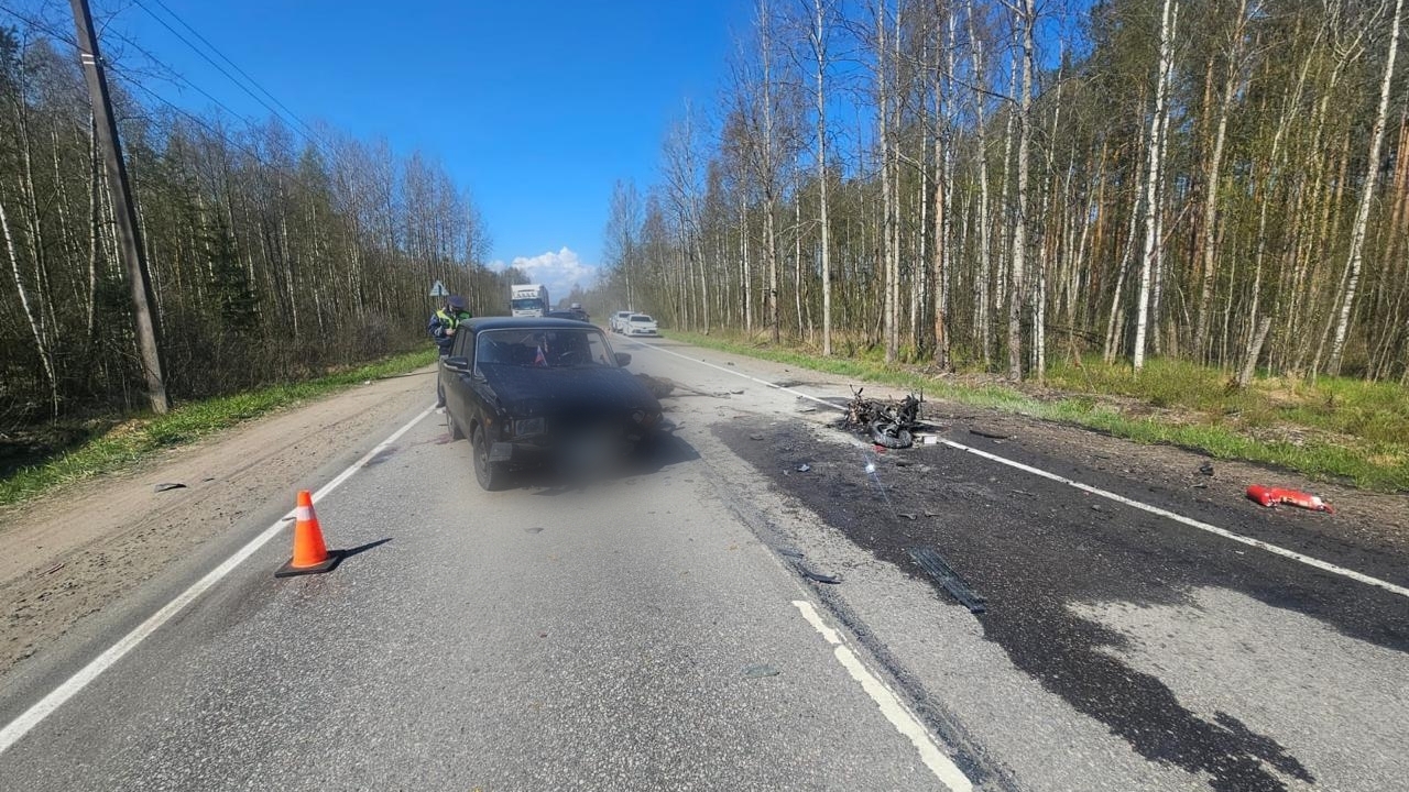 Смертельное ДТП со скутеристом и лосем под Всеволожском стало уголовным делом