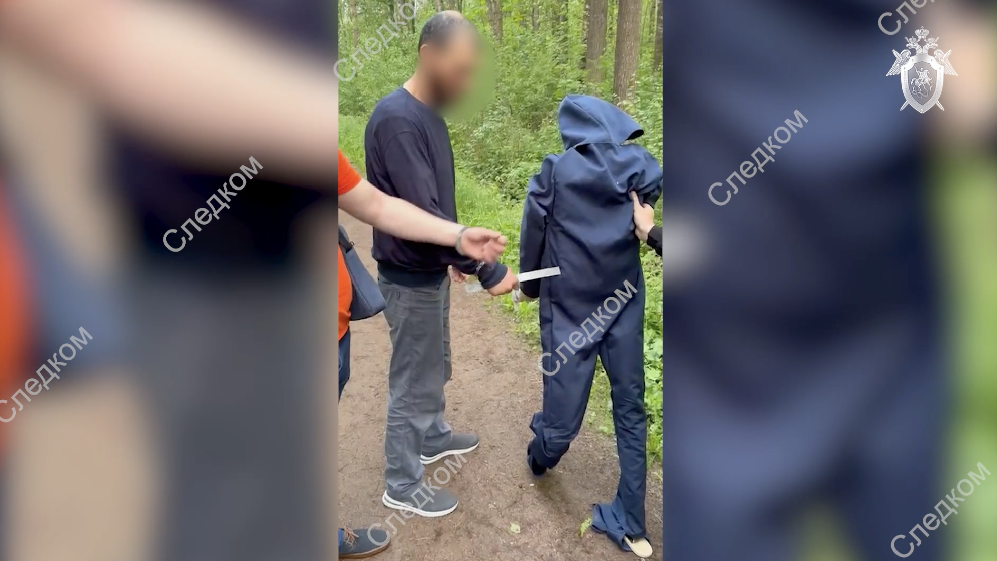Зарезавшего в 2006 году сестру в парке «Сосновая Поляна» мигранта посадили на 11 лет