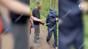 Зарезавшего в 2006 году сестру в парке «Сосновая Поляна» мигранта посадили на 11 лет