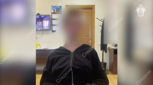 «Это ж не первая жертва у меня»: в Бердянске школьница зарубила молотком семилетнюю девочку