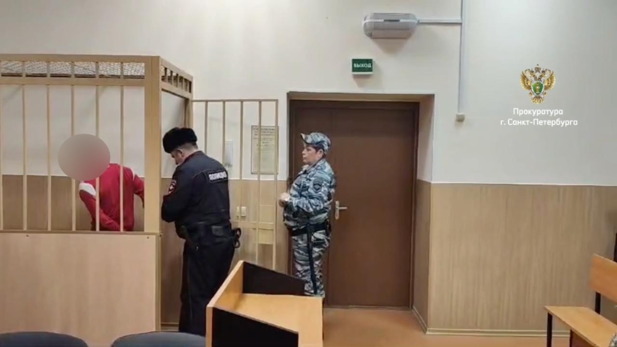 В Петербурге перед судом предстанут похитители 15-летнего жителя Ломоносова