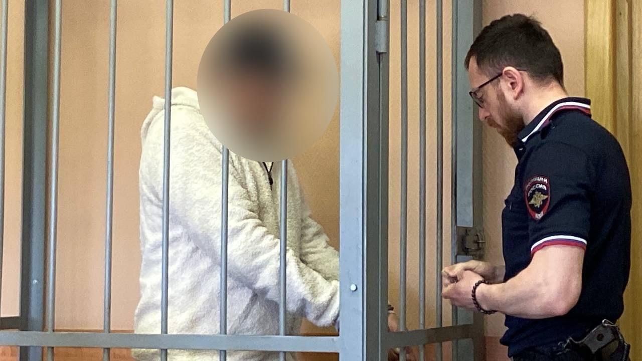 Обвиняемого в удержании школьницы в Hyundai на Ударников мигранта отправили в СИЗО