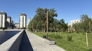 «Комфортная среда» в действии: Петербург превращается в город-сад