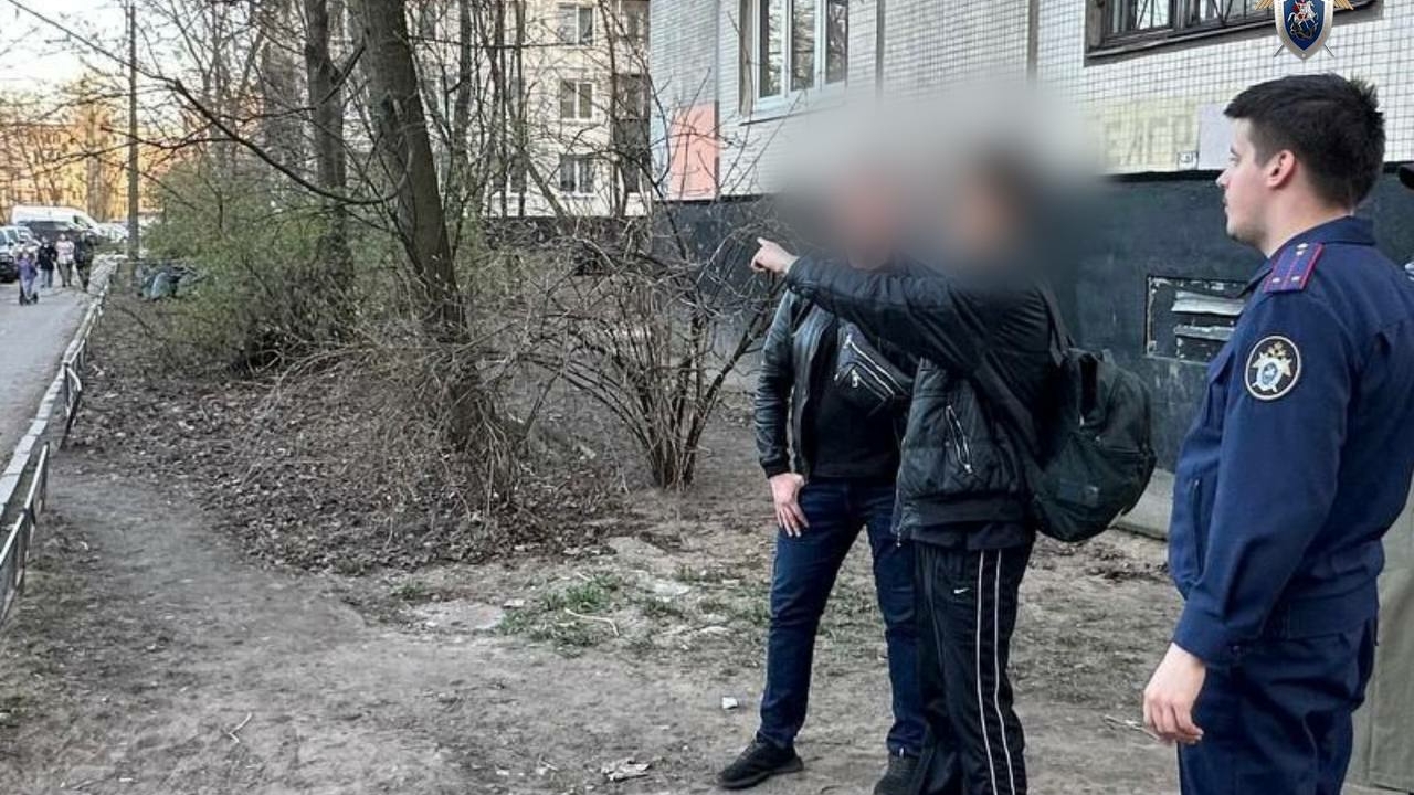Молодой петербуржец ответит в суде за убийство бойфренда матери на Белградской