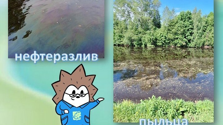 В Петербургских водоемах увидели желтую пленку, но это не нефть: что за явление наблюдают в городе?