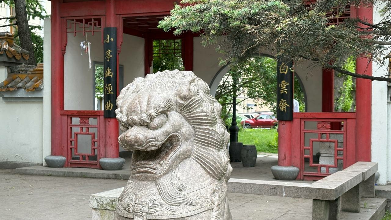 Фестиваль коллажей, чайная церемония и винтажный маркет: куда сходить бесплатно в Петербурге 11 и 12 апреля