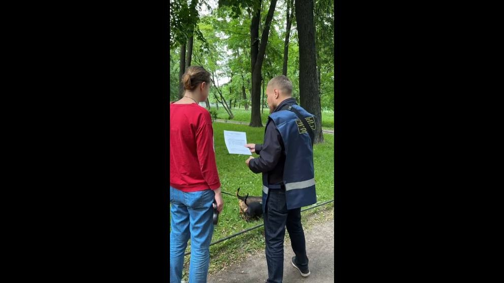 С начала 2025 года в Петербурге составили больше 460 протоколов за нарушения правил при выгуле собак