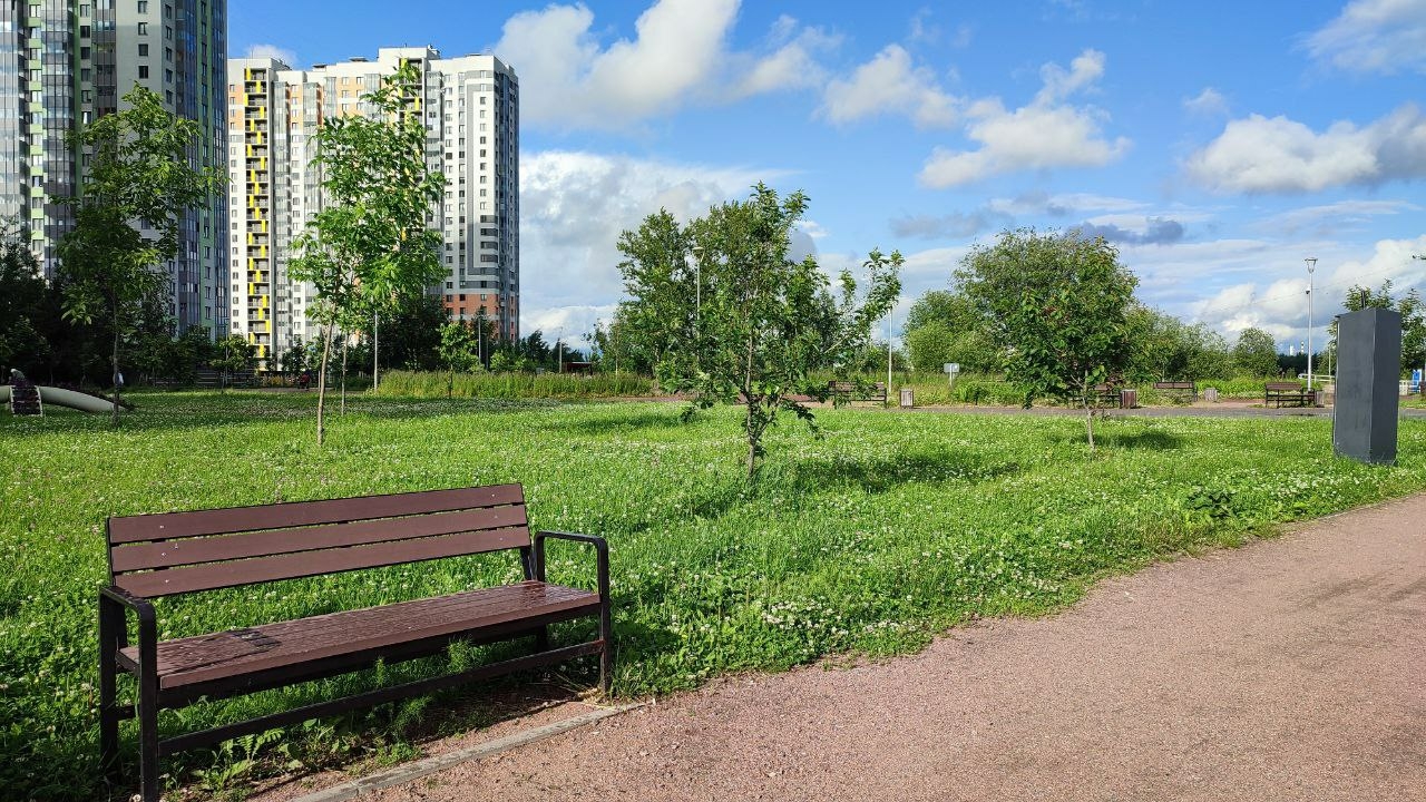 Петербург станет зеленее: город приобретет 151 зеленую территорию
