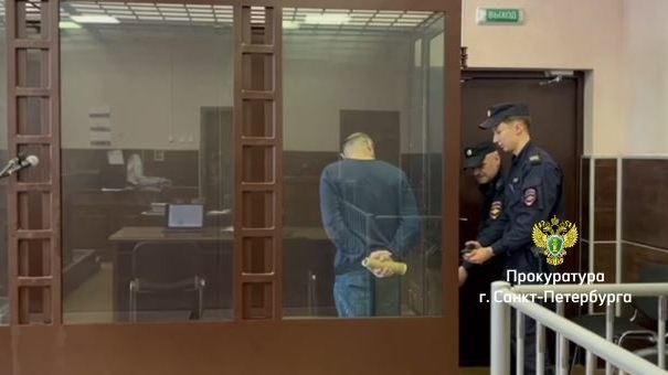 Убивший мать троих детей житель Шушар получил 8 лет строгого режима