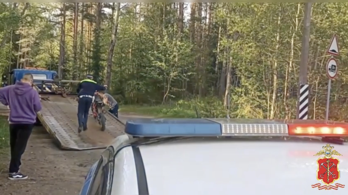 Во время байкерского рейда в Петербурге и Ленобласти нашли 2,5 тысячи нарушителей