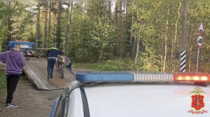 Во время байкерского рейда в Петербурге и Ленобласти нашли 2,5 тысячи нарушителей