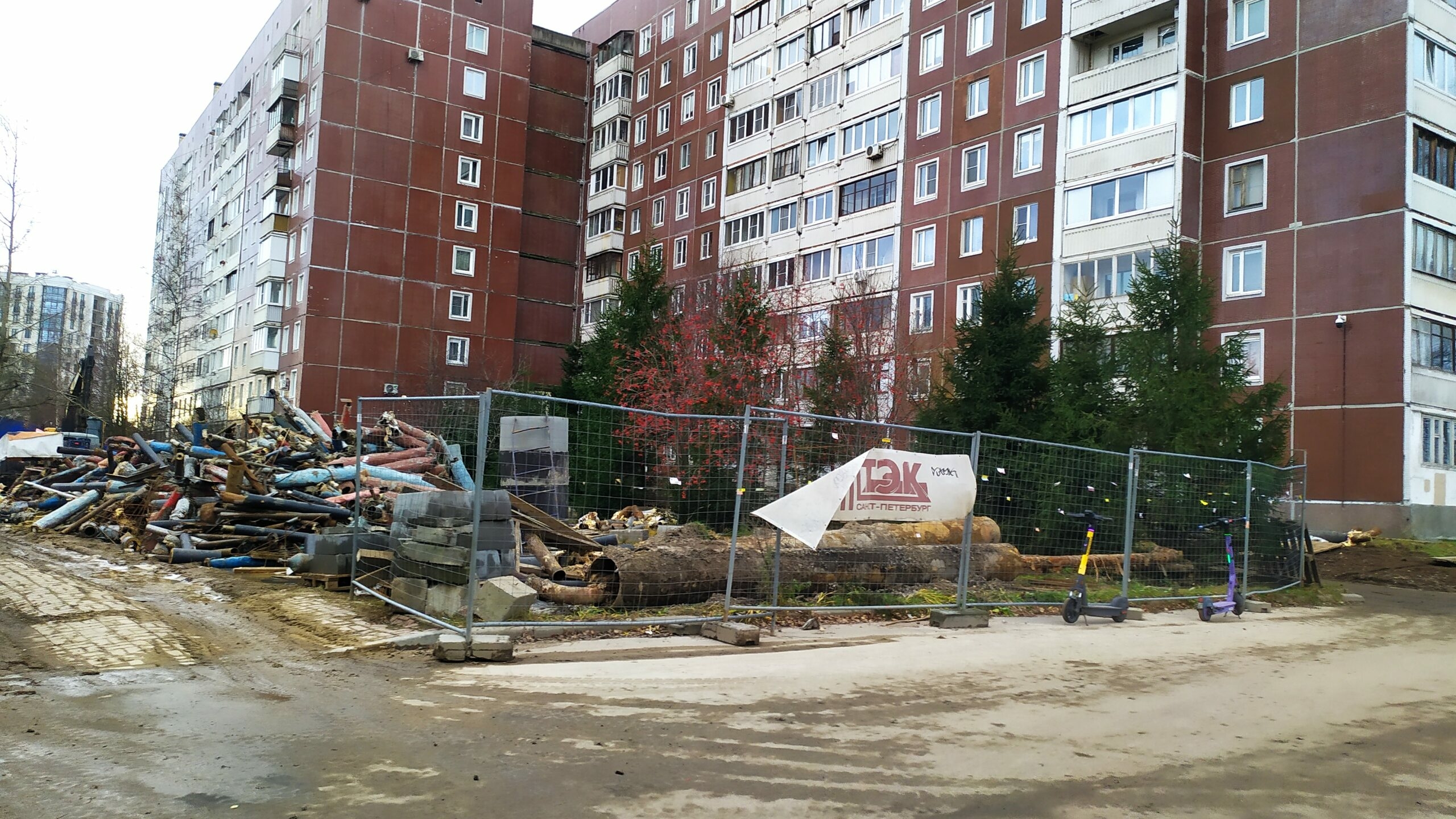 Почти тысячу деревьев бросят в топку ТЭК на севере Петербурга