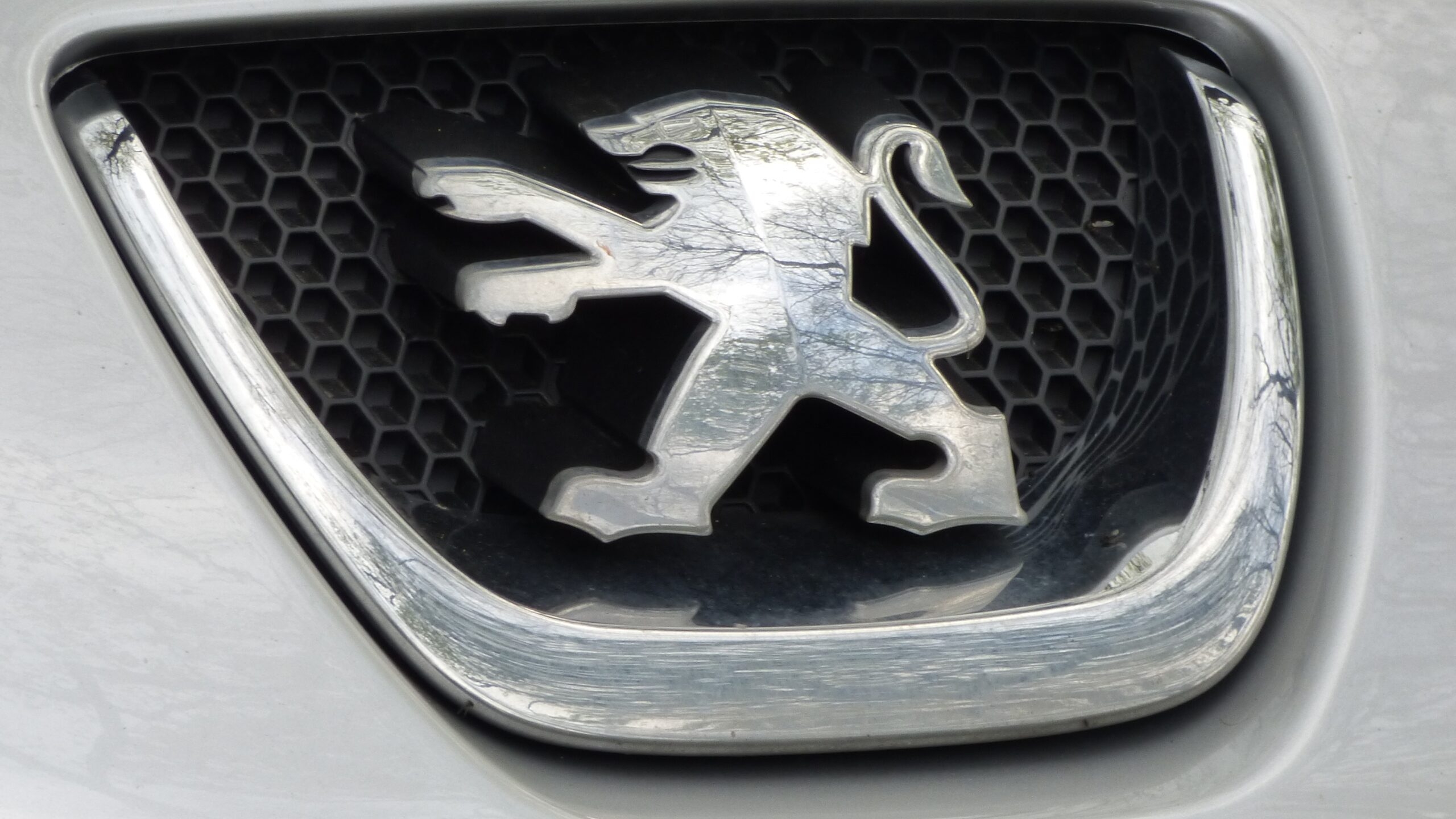 Peugeot, Citroёn и Opel имеют официальную гарантию в РФ – куда обращаться владельцам 