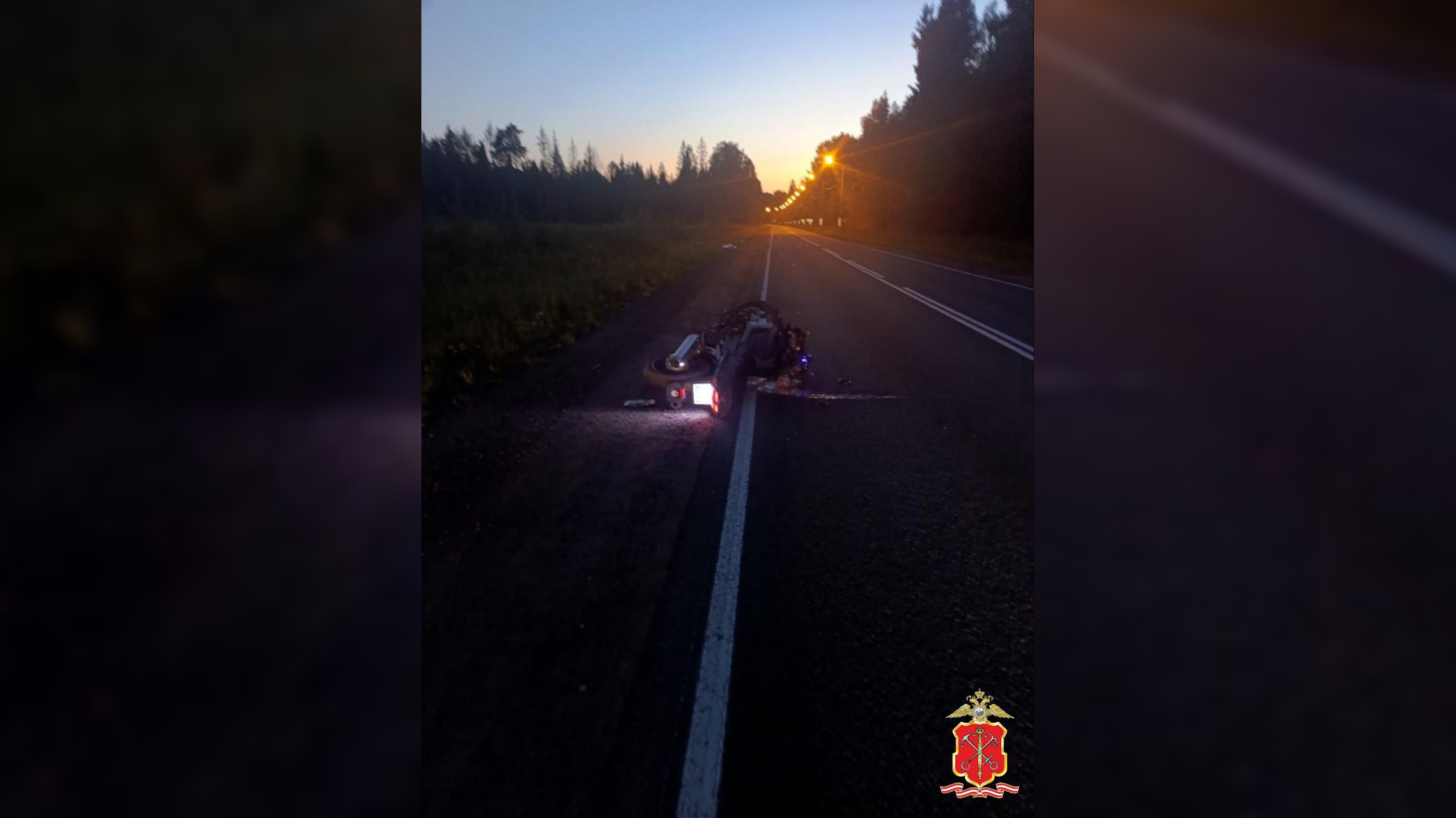 Байкер и его пассажирка погибли, лось сбежал: что известно о смертельном ДТП рядом с Орехово