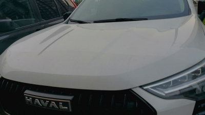 Авито Авто: 30,7% интереса к авто в Петербурге занимает HAVAL