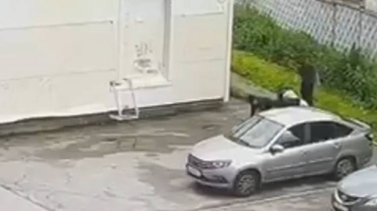 Малолетний мигрант и его друзья напали на петербургского подростка: азербайджанец подставил всю семью