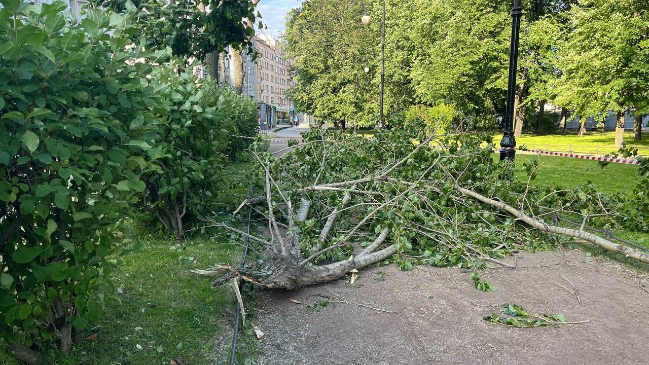 Массовое травмирование петербуржцев из-за непогоды привело следователей к проверкам