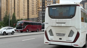 В Ленобласти ищут перевозчиков на три маршрута до Петербурга