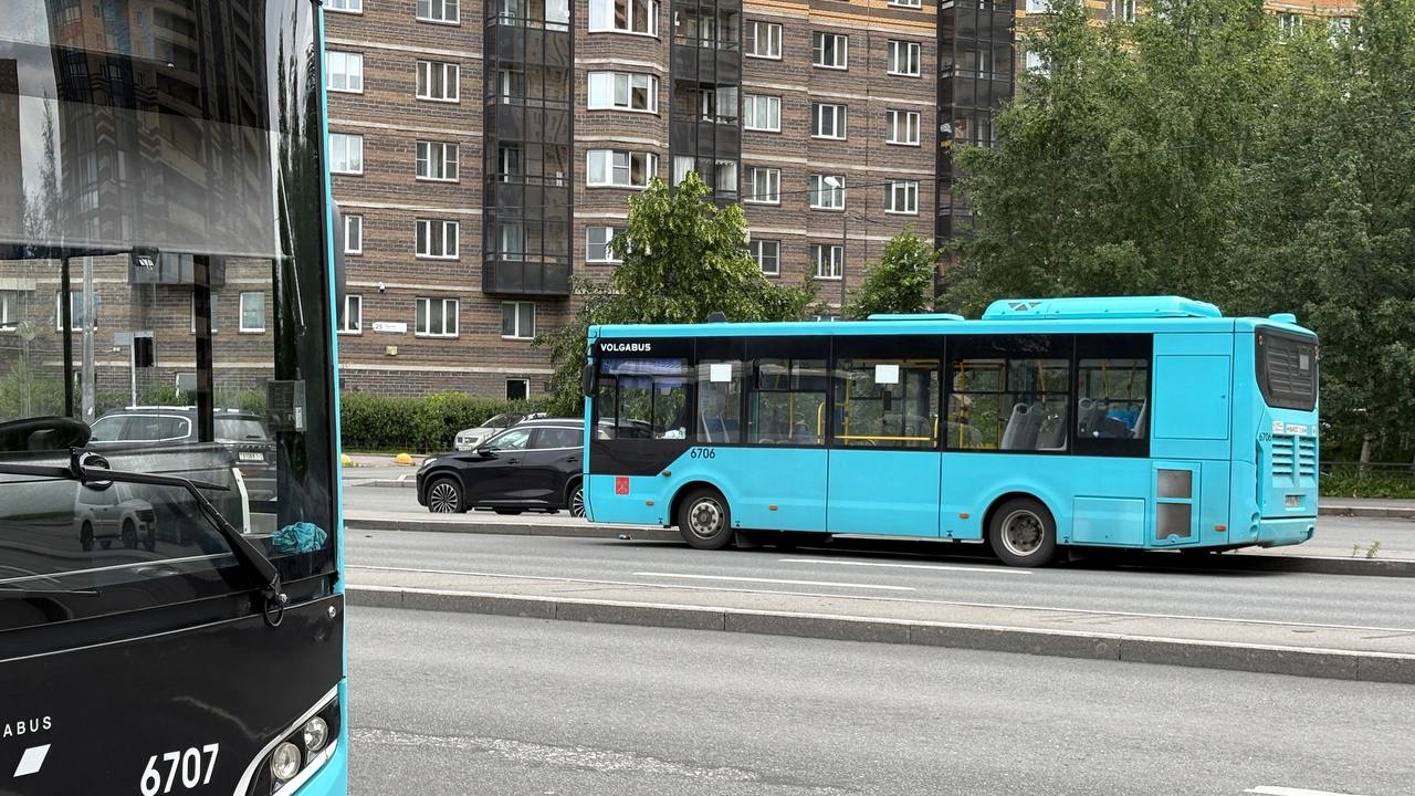 В Петербурге бездомных обеспечат бесплатными проездными, но только на часть года
